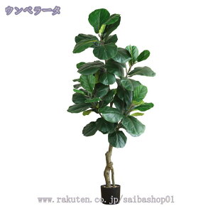 lHϗtA tFCNO[ ^ CeAO[ K̖ rO ItBX  Vbv  lHϗtA /Ogp rO  JXj Vzj zj 