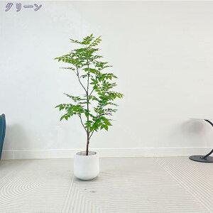 tFCNO[ ϗA lHϗt ϗtA Vv tFCNϗtA ^ lHϗtA p ItBX  CeA  CeA tFCNO[ j 