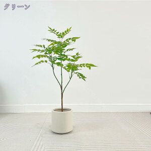 lHϗtA tFCNO[ ^ 傫 ̂Ȃ  ͋C  CeA rO    p Mtg 蕨 K _  ډB lH