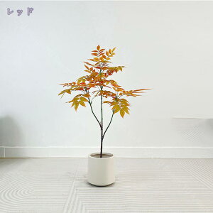 lHϗtA tFCNO[ ^ 傫 ̂Ȃ  ͋C  CeA rO    p Mtg 蕨 K _  ډB lH