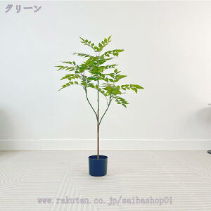 777~OFFN[| tFCNO[ lHϗtA t  z[ x_ p ^ CeA sv sv Q̐SzȂ zj Vzj  Ύ ϗt