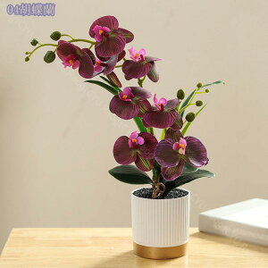 ϗtA ~j CeAO[  킢 ܂邢 tFCNO[ [J  A fXNTCh IV ~jv^[ Ϗܗp fBXvCp ϗtA tFCNO[