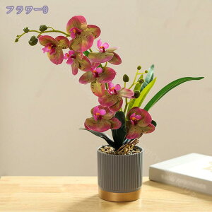 ϗtA ~j CeAO[  킢 ܂邢 tFCNO[ [J  A fXNTCh IV ~jv^[ Ϗܗp fBXvCp ϗtA tFCNO[