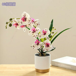 500~OFFN[| ϗtA ~j A tFCNO[  t lHϗtA  CeA G tFCN O[  lHA A  Mtg Xe ACr[ 