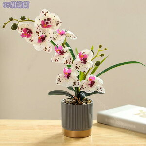 1000~OFFN[| ϗtA ~j CeAO[  킢 ܂邢 tFCNO[ [J  A fXNTCh IV ~jv^[ Ϗܗp fBXvCp ϗtA