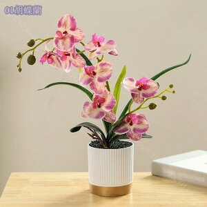 500~OFFN[| ϗtA ~j A tFCNO[  t lHϗtA  CeA G tFCN O[  lHA A  Mtg Xe ACr[ 