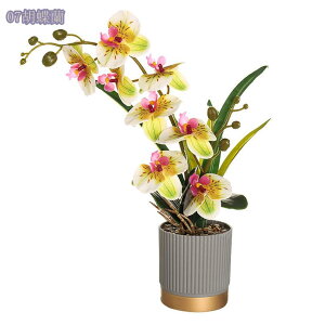 ϗtA ~j A tFCNO[  t lHϗtA  CeA G tFCN O[  lHA A  Mtg Xe ACr[ sv 