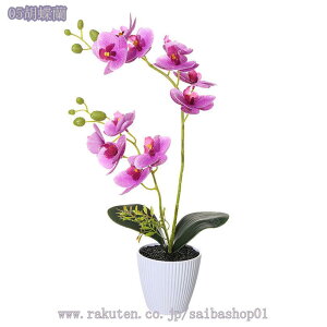 300~OFFN[| lHϗtA ϗtA   }`J[ ~j j Mtg v[g a JX J@j  lHϗtA ^ A CeA ^ tFCN V