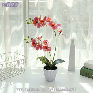 777~OFFN[| ~j lHϗtA u fXNTCh IV ~jv^[ Ϗܗp Vzj JXj JƏj  ̓ ̓ hV̓ j Mtg  sv C