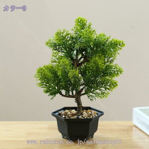 tFCNO[ ϗtA  A  CeA ~j   ͂Ȃ  RpNg Eh|bg ی^ C~e[VO[  CeA v[g a 