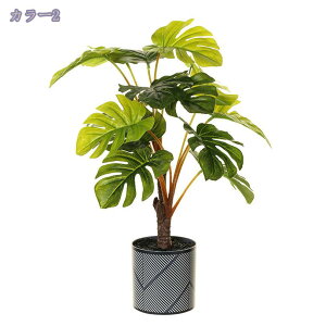 300~OFFN[| ϗtA ~j ϗtA tFCNO[  CeA AA v[g  񂽂₵ K[fjO bsv fR[V  ϗtA ~j 