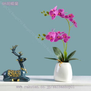 500~OFFN[| ϗtA  A  lHϗtA CeA  b炸 sv ItBX z[ fR[V tFCNt[ ΂̔A tFCNO[ t 