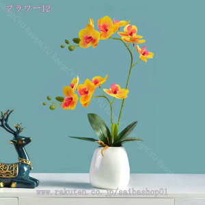 1000~OFFN[| ϗtA ~j ϗtA ~j  t[AWg ϗtA sN CG[ zCg Mtg  ̓ JXj j tFCNO[   Mtg v