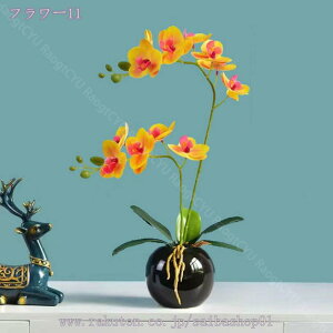 500~OFFN[| ϗtA  A  lHϗtA CeA  b炸 sv ItBX z[ fR[V tFCNt[ ΂̔A tFCNO[ t 