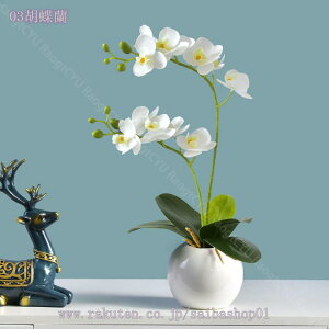 1000~OFFN[| ϗtA ~j ϗtA ~j  t[AWg ϗtA sN CG[ zCg Mtg  ̓ JXj j tFCNO[   Mtg v