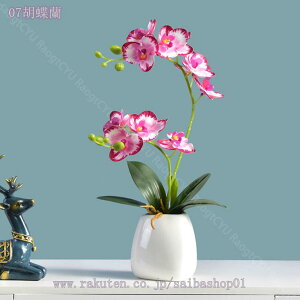 300~OFFN[| ϗtA  A  lHϗtA CeA  b炸 sv ItBX z[ fR[V tFCNt[ ΂̔A tFCNO[ t 