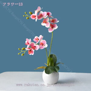 500~OFFN[| ϗtA  A  lHϗtA CeA  b炸 sv ItBX z[ fR[V tFCNt[ ΂̔A tFCNO[ t 