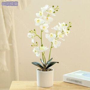 300~OFFN[| lHϗtA tFCNO[ CeA Mtg Xe ACr[ ۔ Ǝ a EFfBO  Be p z[ 뉀 Lb` ItBX p[eB[ ^