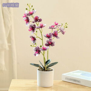 777~OFFN[|  lHϗtA Ӓ  lHϗtA A Ԕ  ̓ Mtg ̓ v[gBe j lHA vX`bN ƒ ItBXp e[u C