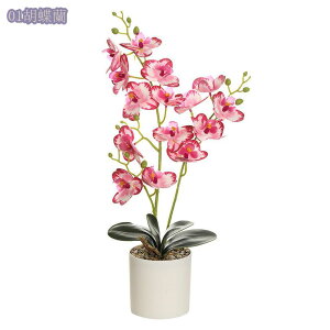  lHϗtA Ӓ  lHϗtA A Ԕ  ̓ Mtg ̓ v[gBe j lHA vX`bN ƒ ItBXp e[u CeA VN