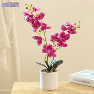 300~OFFN[| lHϗtA tFCNO[ CeA Mtg Xe ACr[ ۔ Ǝ a EFfBO  Be p z[ 뉀 Lb` ItBX p[eB[ ^