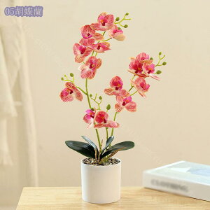 777~OFFN[|  lHϗtA Ӓ  lHϗtA A Ԕ  ̓ Mtg ̓ v[gBe j lHA vX`bN ƒ ItBXp e[u C