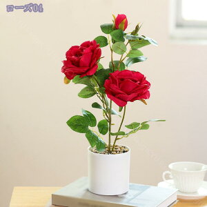 ϗtA A lHϗtA tFCNO[ ~j|bg fXNTCh AWg {݂ e[u   rO ItBX  IV ~jv^[ Ϗܗp v[