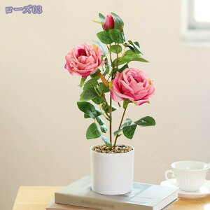 ϗtA A lHϗtA tFCNO[ ~j|bg fXNTCh AWg {݂ e[u   rO ItBX  IV ~jv^[ Ϗܗp v[