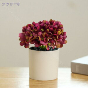 300~OFFN[| AWTC ϗtA tFCNO[ Eh|bg ی^ tFCN  A  lHϗtA CeA b炸 sv ItBX z[ fR[V 