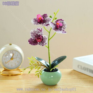 300~OFFN[| tFCNO[ lHϗtA ϗtA tFCN ϗtA A CeA   lH CeA ̓ ̓ v[g Vzj Mtg Ղ 