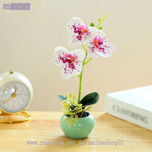 300~OFFN[| tFCNO[ lHϗtA ϗtA tFCN ϗtA A CeA   lH CeA ̓ ̓ v[g Vzj Mtg Ղ 