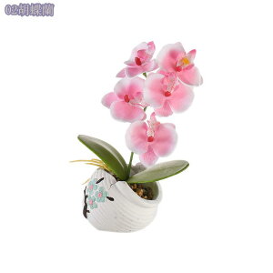 300~OFFN[| tFCNO[ lHϗtA ~jA  CeAO[ ~j|bg { ԗv炸 sv x_[ ItBX Q rO[ oX[