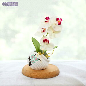  lHϗtA ~jv^[  lHϗtA A  ̓ Mtg ̓ v[gBe j lHA vX`bN ƒ ItBXp e[u CeA V