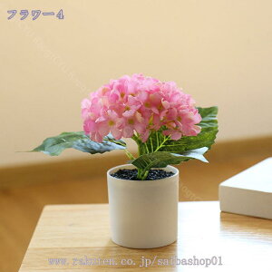 460~OFFN[| ϗtA ~j A  tFCNO[ lHϗtA  tFCN^ CeA sv bsv Vzj ̓ ̓ Mtg Ղ 蕨 ~j 