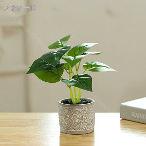 500~OFFN[| lHϗtA |bgt CeAO[ Eh|bg L[u|bg ϗtA tFCNO[ ܂邢 ^ ~j A lHA CeA e[u  