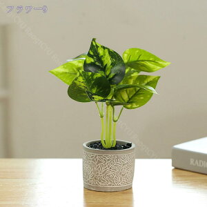 ~jϗtA tFCNO[ lHϗtA  킢 CeA tFCN  ~j lHϗtA tFCNO[ CeA a  ~j ~͂̃TCY tFCNO[