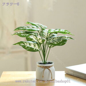 300~OFFN[| ϗtA ~j A  tFCNO[ lHϗtA  tFCN^ CeA sv bsv Vzj ̓ ̓ Mtg Ղ 蕨 ~j 