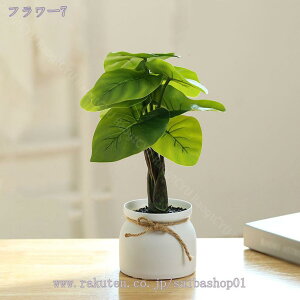 ϗtA ~j A  tFCNO[ lHϗtA  tFCN^ CeA sv bsv Vzj ̓ ̓ Mtg Ղ 蕨 ~j ϗtA ی^ 