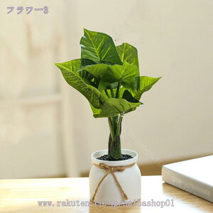 ϗtA ~j A  tFCNO[ lHϗtA  tFCN^ CeA sv bsv Vzj ̓ ̓ Mtg Ղ 蕨 ~j ϗtA ی^ 