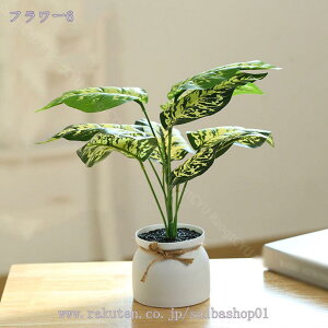 300~OFFN[| ϗtA ~j A  tFCNO[ lHϗtA  tFCN^ CeA sv bsv Vzj ̓ ̓ Mtg Ղ 蕨 ~j 