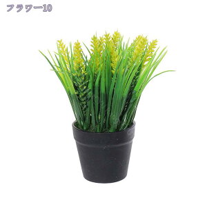 300~OFFN[| ϗtA ~j ϗtA ~j  ϗtA t[AWg sN CG[ zCg Mtg  ̓ JXj j tFCNO[   Mtg v