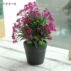 300~OFFN[| ϗtA ~j ϗtA ~j  ϗtA t[AWg sN CG[ zCg Mtg  ̓ JXj j tFCNO[   Mtg v