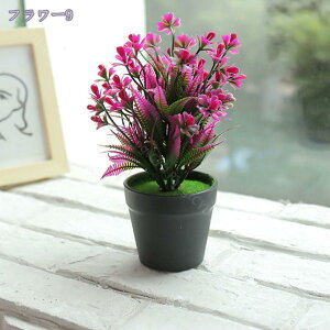 300~OFFN[| ϗtA ~j ϗtA ~j  ϗtA t[AWg sN CG[ zCg Mtg  ̓ JXj j tFCNO[   Mtg v