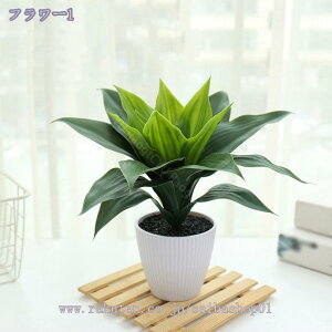 300~OFFN[| AG lHϗtA CeA ~j lHϗtA a  ~j v[g Mtg Ǝ a EFfBO  Be p z[ 뉀 Lb` ItBX p[e