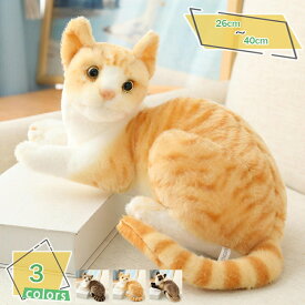 500円OFFクーポン リアル 猫のぬいぐるみ 猫 ぬいぐるみ ネコ ねこ かわいい 本物そっくり 本物みたいな いやし猫 リアルな猫のぬいぐるみ プレゼント ギフト 贈り物 可愛い 癒し猫 お見舞い 大人 クリスマス 誕生日 猫好き RaogtCYU
