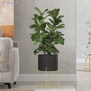 777~OFFN[| X^h v^[p Aؔ Jo[ k g zCg ubN S[h  ~j    F ϗtA ^J AؔX^h CeA u A