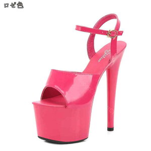 I[vgD pvX ₷  T_ nCq[ Xg[ sq[T_ LoT_ 16cmq[ LopvX T_  傫TCY  RXv q[