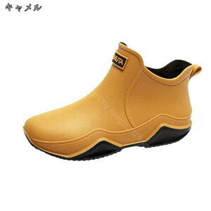 Cu[c Y CV[Y V[gCV[Y hV[Y Sh ~ y Jp C V[g  h h AEghA _ ނ ʋΒʊw JWA K[