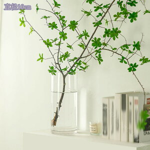 300~OFFN[| KX ԕr t[x[X ~` ~ ~^ Ԋ Ɏq   ֑} _ т fR[V L C   ϗtA ԍD g₷ 