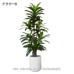 1000~OFFN[| lHϗtA tFCNO[ ^  CeA  OtFCNA rO ItBX X  lH ϗtA tFCNO[  CeA  